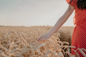 Mindfulness durante el divorcio