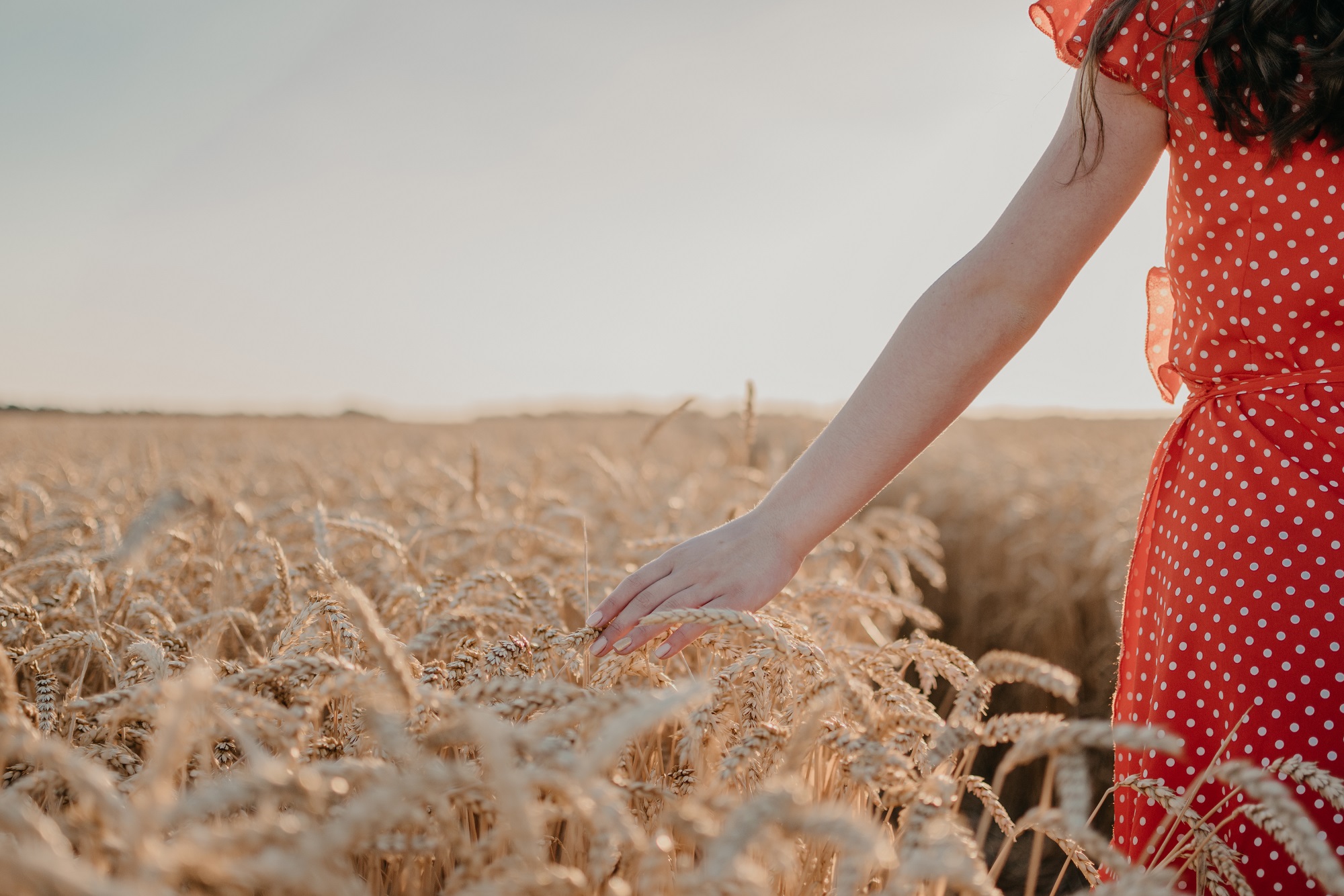 mano femenina mesando campo de trigo en actitud de minfulness
